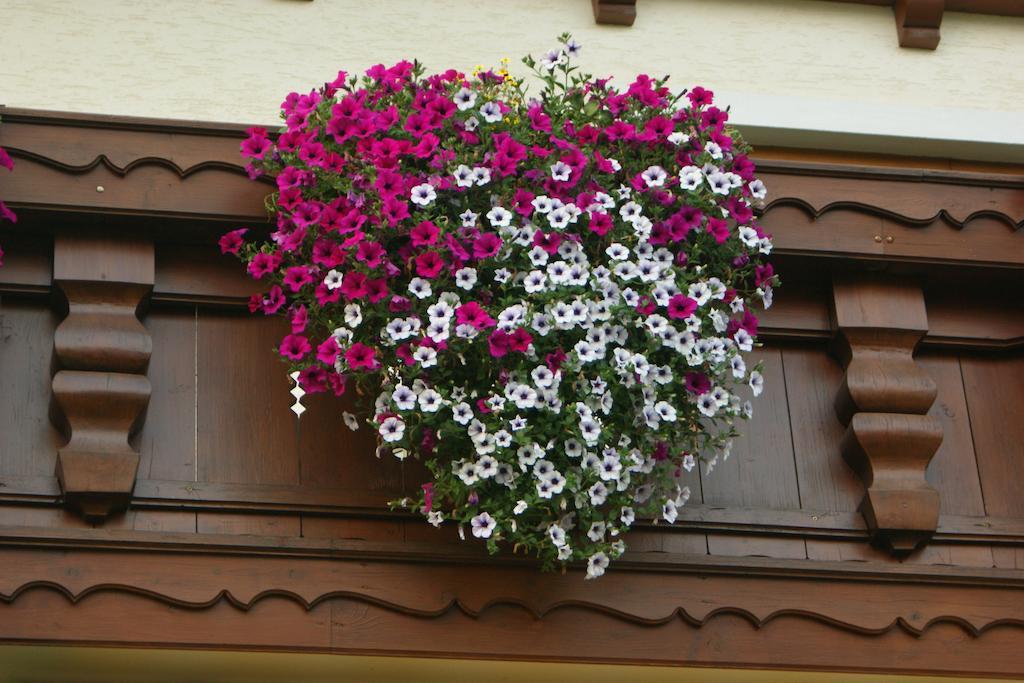 Gaestehaus Kuebler エクステリア 写真